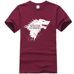 Winter is Coming T-Shirt